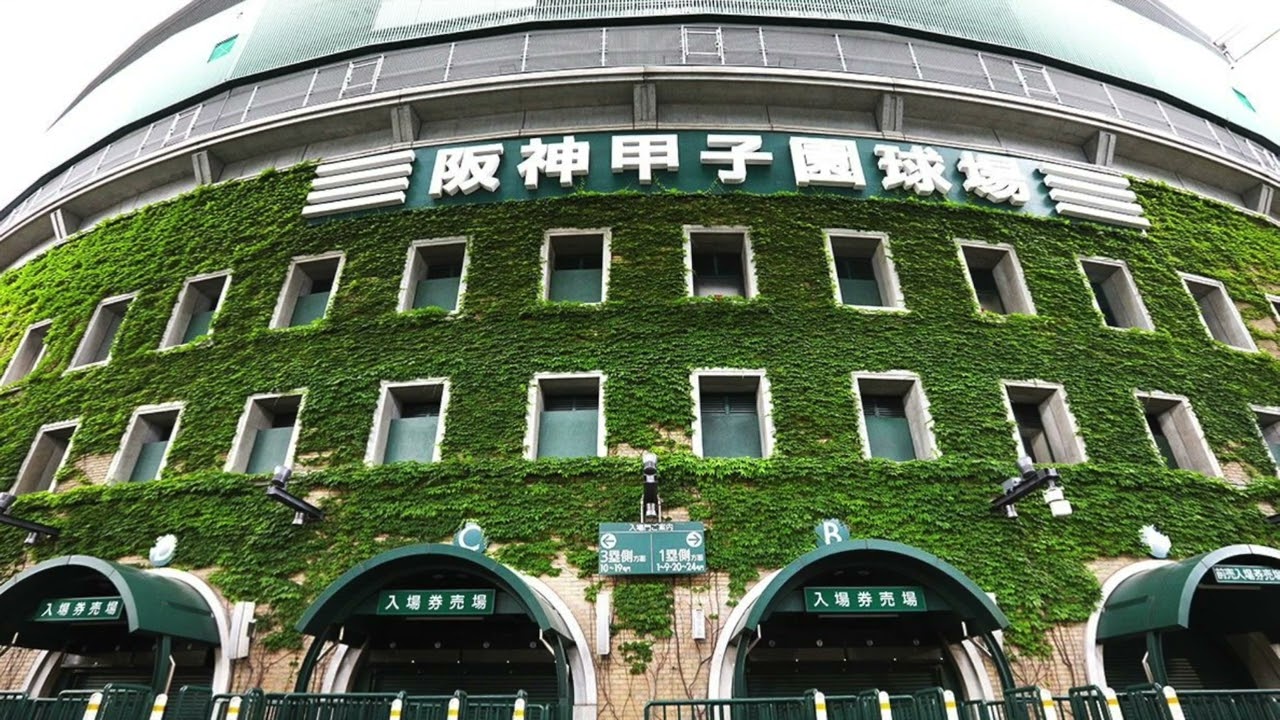 清水ミチコのサイレン