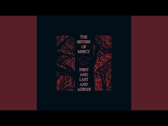 Conociendo a The Sisters of Mercy: Una leyenda del rock gótico