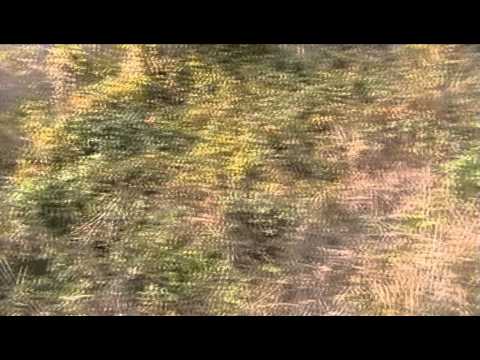 Kroi i Bllutajve - Norçë