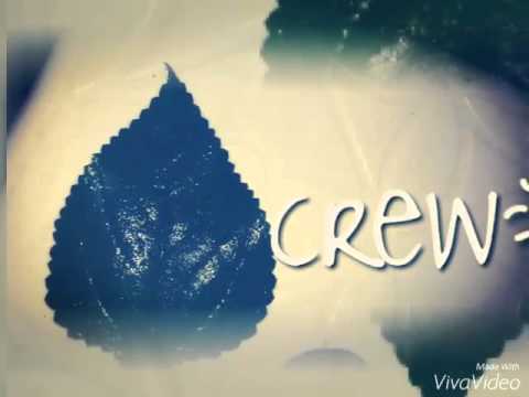 Folha crew Seculo 21