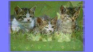 Beatles - Three Cool Cats