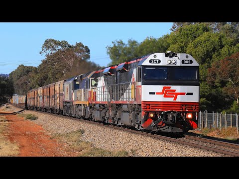 SCT 6MP9 | Edinburgh | 21/06/2025