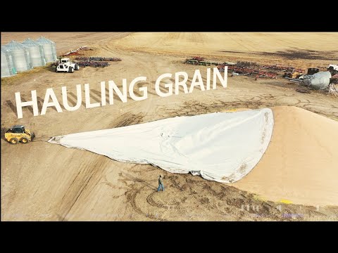 3 MILLION Pounds in 3 Days! - Part 2