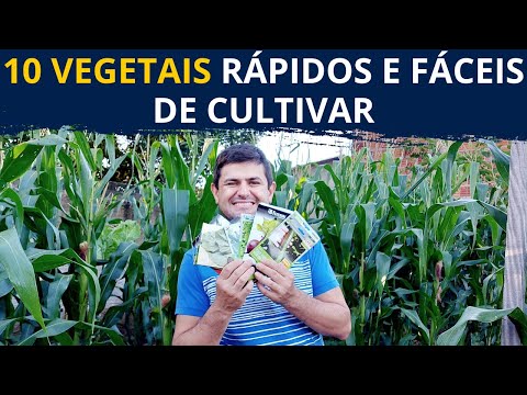DEZ HORTALIÇAS que CRESCEM RÁPIDO. PLANTAS de colheita em ATÉ 2 MESES para ter uma HORTA RÁPIDO