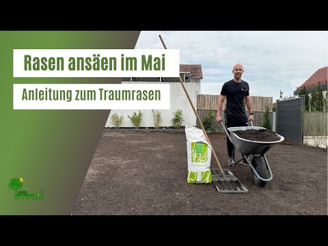 Rasen ansäen im Mai 🌱| Anleitung zum Traumrasen | Tipps für die perfekte Rasenneuanlage | Düngen