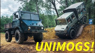All about Unimogs - old and new 'Mogs driven