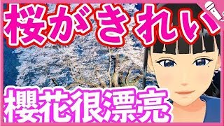【ZEKKEI】桜坂/福山雅治　Sakurazaka/Masaharu Fukuyama【Cover】