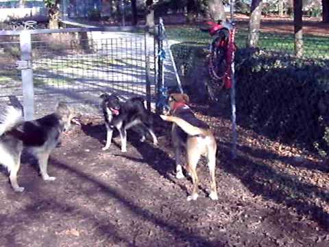 TECNICHE DI GUERRIGLIA II