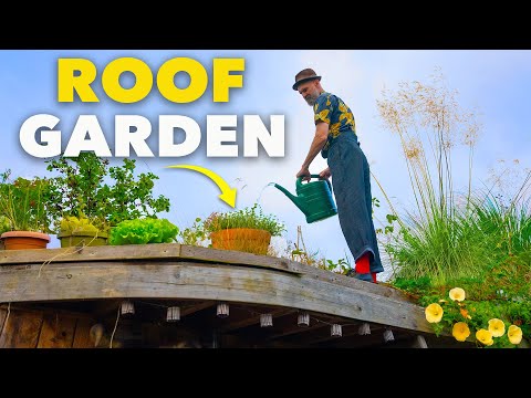 Tiny Yard Container Garden How to Grow 1 000 of Food
