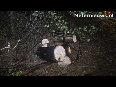 Auto botst op omgewaaide boom in Meppel