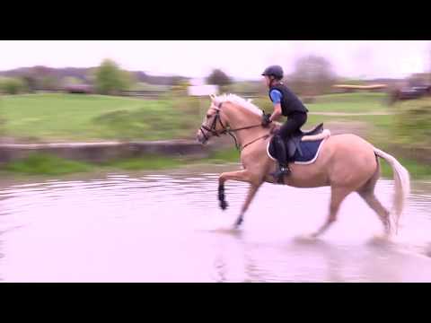 Vielseitige Grundausbildung - Geländereiten: Springen von Wasserhindernissen