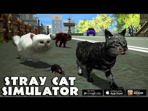😻🐈Stray Cat VS Dogs, Rats, Mouse, People and Stray Cats
