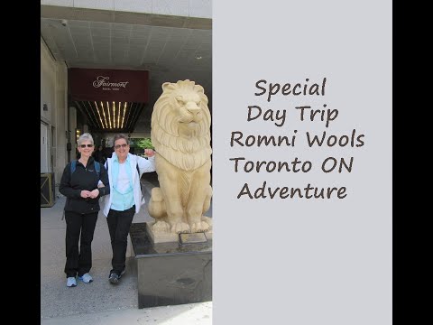 MC Knitting Adventures Podcast - Day Trip Romni Wools Toronto Adventure