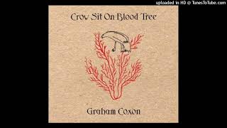 05. Too Uptight - Graham Coxon - Crow Sit On Blood Tree