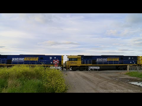 1MP2 Steel Train With NR83, NR62 & NR13 At Buchter Road (11/10/2020) - PoathTV Australian Trains