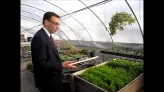 Schenectady ARC Greenhouse Program