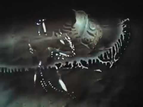 "Les Malheurs de Sergueï Paradjanov" (2022) de Gérard Courant