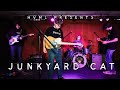 Junkyard Cat