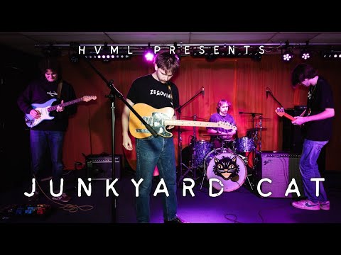 Junkyard Cat video