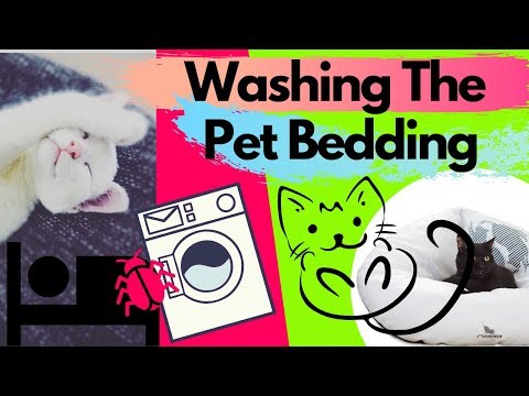How To Wash Your Pet Bedding? + How Often