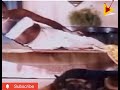 Goundamani Dog Comedy Scene Tamil Super Hit Comedy Movie Scene