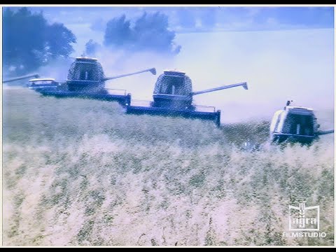 "Friendship" among neighbors in the GDR LPG (P) "Helmut Just" Striegnitz 1982