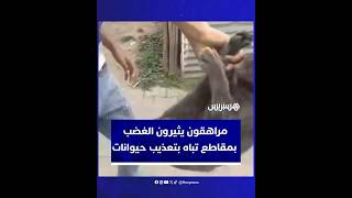 مشاهد قاسية لمراهقين يعذبون حيوانات تثير موجة غضب thumbnail