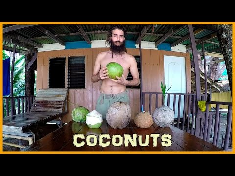 LEARN ABOUT THE STAGES OF THE COCONUT: FROM YOUNG TO MATURE TO SPROUTED