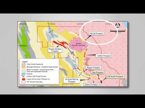 Thundelarra Latest Video News