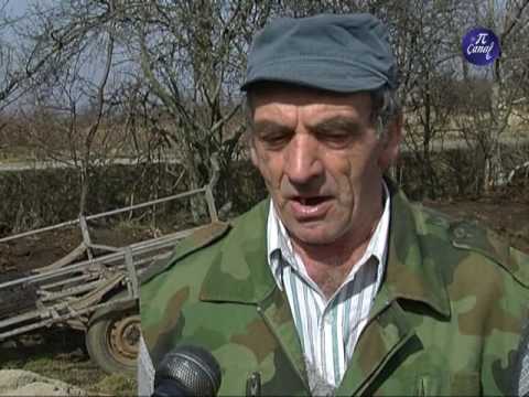 Kozar Dimitrije Nišor