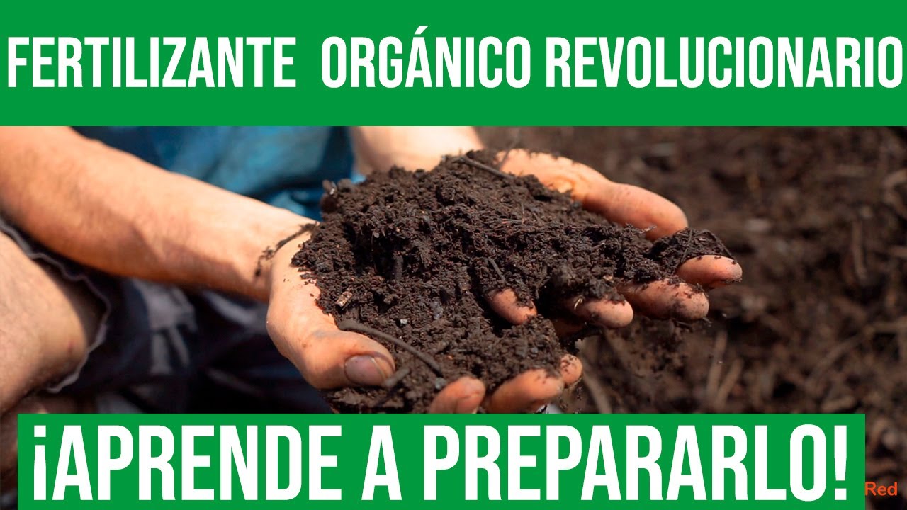 Abono fermentado Bocashi: todo lo que necesitas saber.