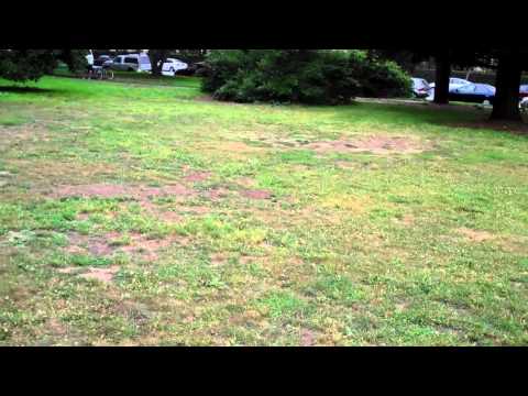 San Francisco, DPH, Police, etc WANTS ME DEAD - Mobile Crisis 082113p2