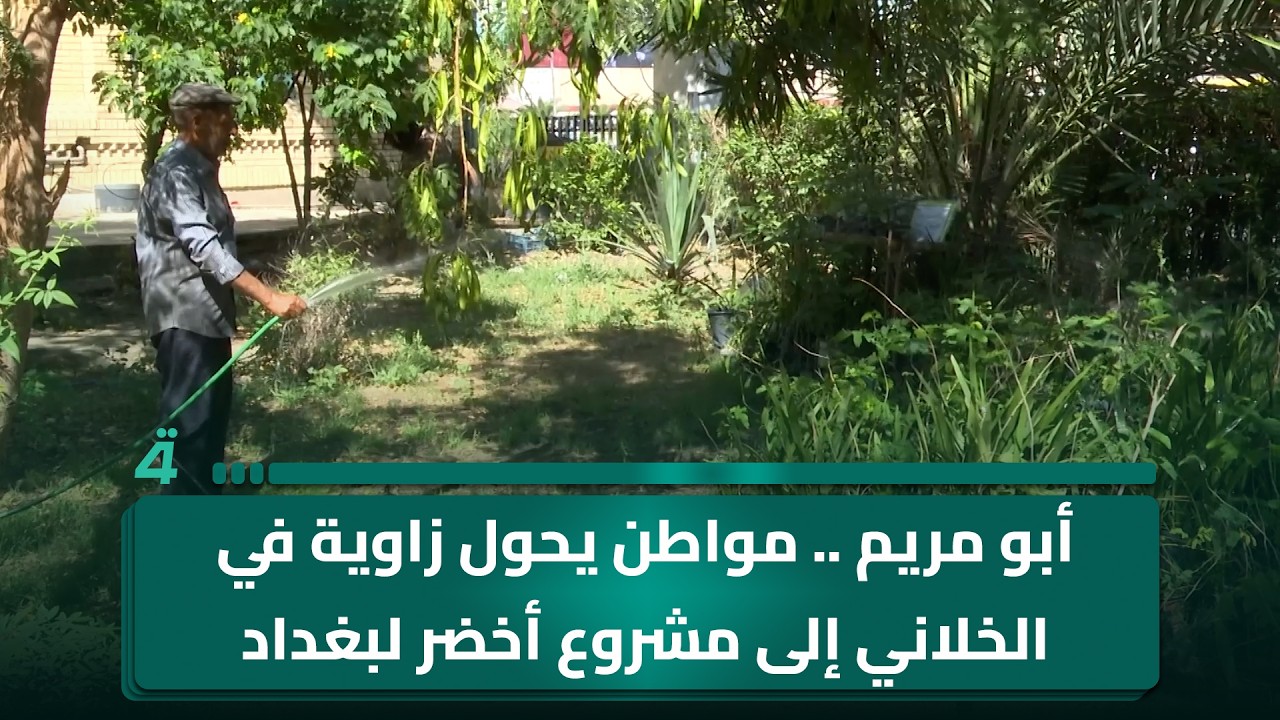 فيديو | أبو مريم .. مواطن يحول زاوية في الخلاني إلى مشروع أخضر لبغداد