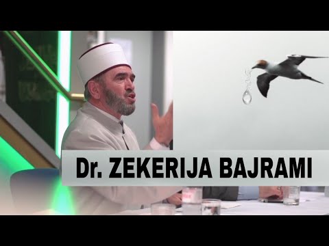 Zogu i cili ndihmoi Ibrahimin a.s   |   Dr. ZEKERIJA BAJRAMI