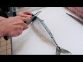 GRAPHIC How To Fillet A Fish Mackerel Japanese Technique サバのさばき方