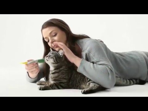 Паста Gimcat «Beauty-Paste» для кошек, цинк, биотин, лецитин, 50 г