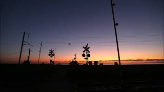 Oh Susanna  Forever At Your Feet