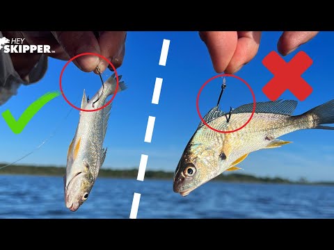 STOP LOSING BAIT! Don't Make These Beginner Mistakes (Live Bait Fishing Do’s & Don’ts)