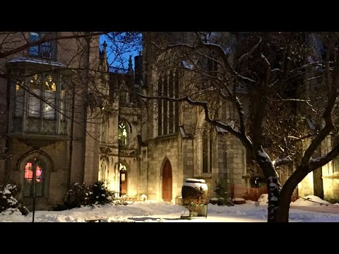 Palestrina: Hodie Christus Natus Est à 8