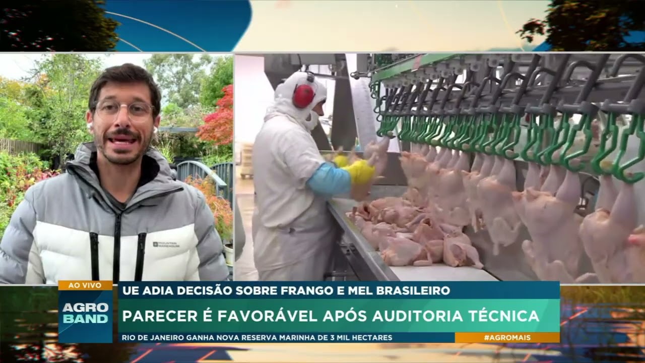 União Europeia adia para novembro decisão sobre importação de frango e mel do Brasil