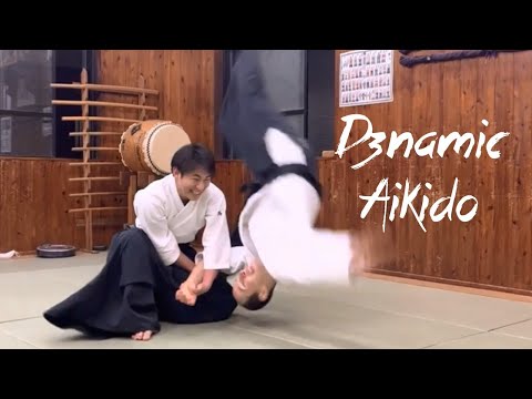 Dynamic Training - Powerful Aikido Techniques