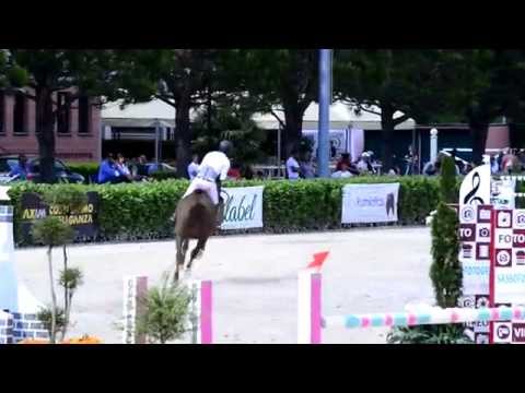 Rock Star Castellane - CSI3* LR 145 - Gorla Minore 2015
