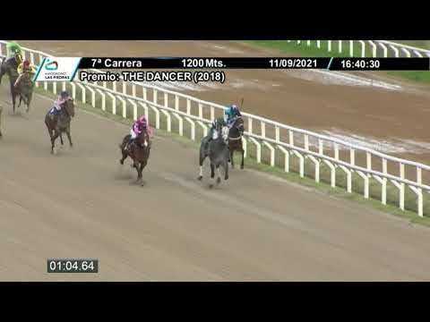 210911 c07 - JUMPINGBOARD (BRZ) - HIPODROMO LAS PIEDRAS