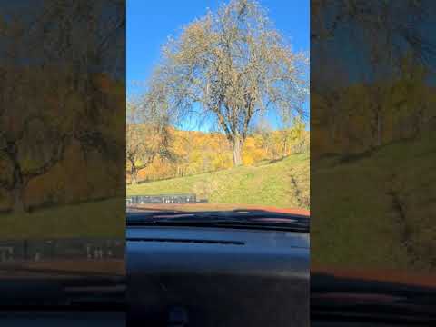 Criștioru de Sus Oct 2021