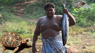 BIG MONSTER KING FISH FRY WITH BANANA LEAF  HIGH P