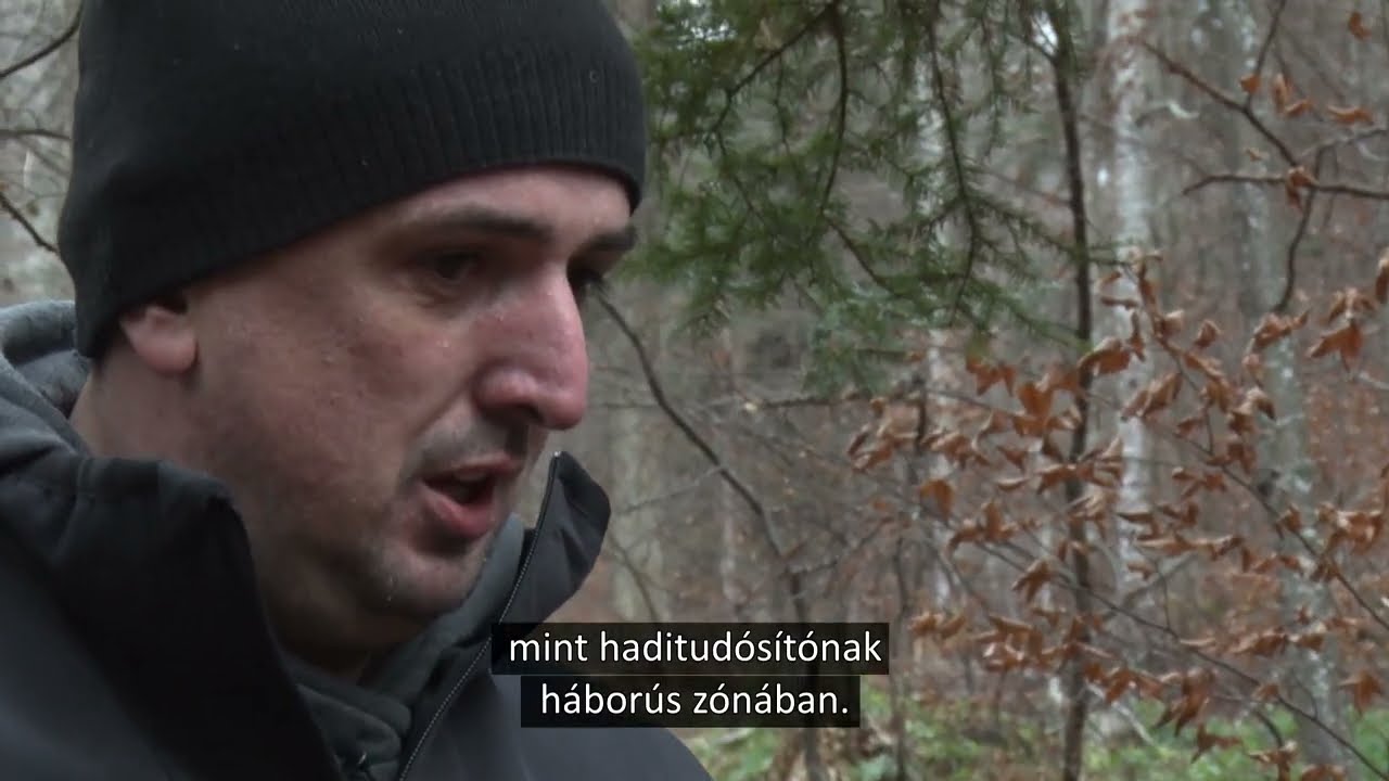 Erdők nélkül nincs Erdély (a Méregzöld mesék folytatódnak tovább) - előzetes