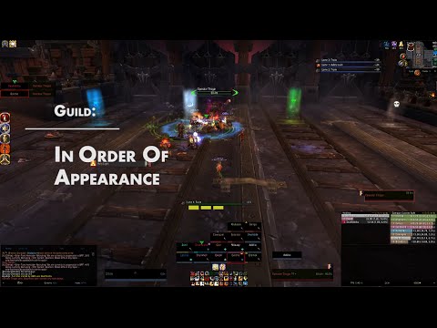 Operator Thogar Normal - Blackrock Foundry // Holy Pala POV