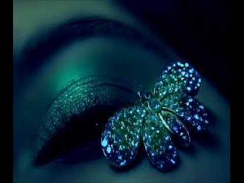 Sasan feat. V.I. so Fly - never