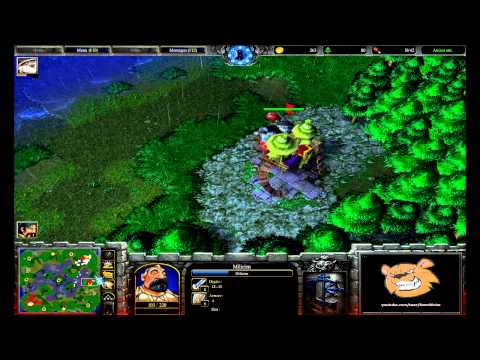 [HD.WC3#220] Animaa vs Starshaped - HvN - Warcraft 3 Replay [FR]