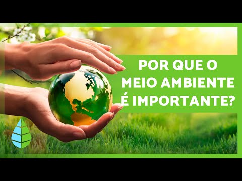 A IMPORTÂNCIA de CUIDAR do MEIO AMBIENTE 🌏🌿